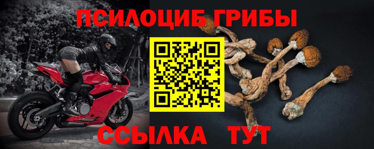 Галлюциногенные грибы мухоморы Тавда